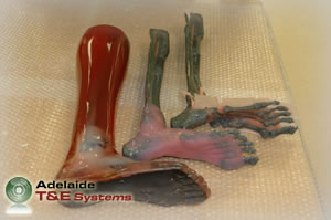 Frangible Surrogate Leg (FSL)